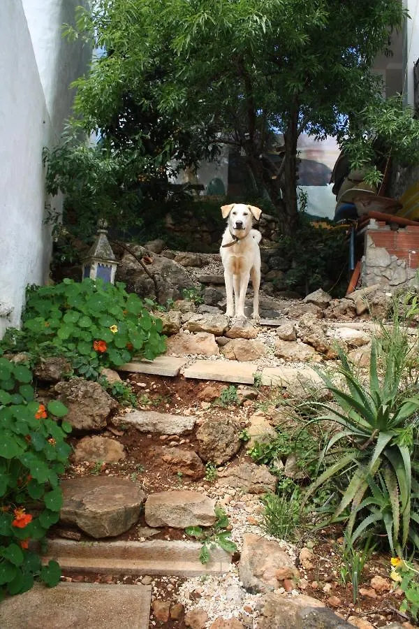 Hostel On The Hill Raposeira