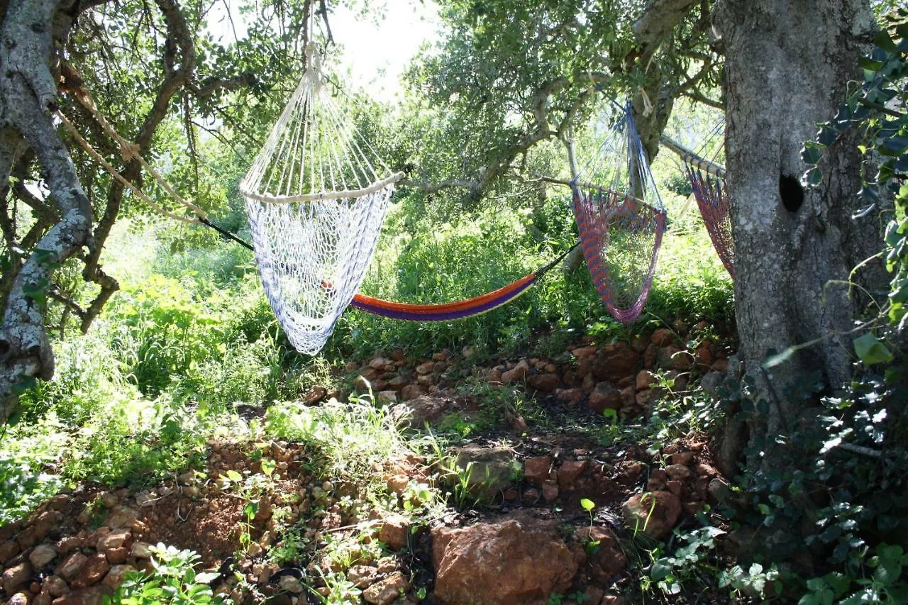 Hostel On The Hill Raposeira  Portugal